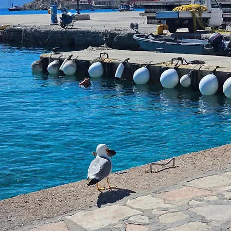 Elia House Of Chalki Apartament *