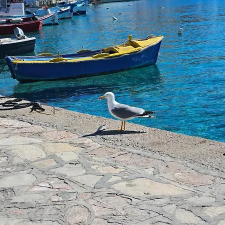 Elia House Of Chalki Chalki Town